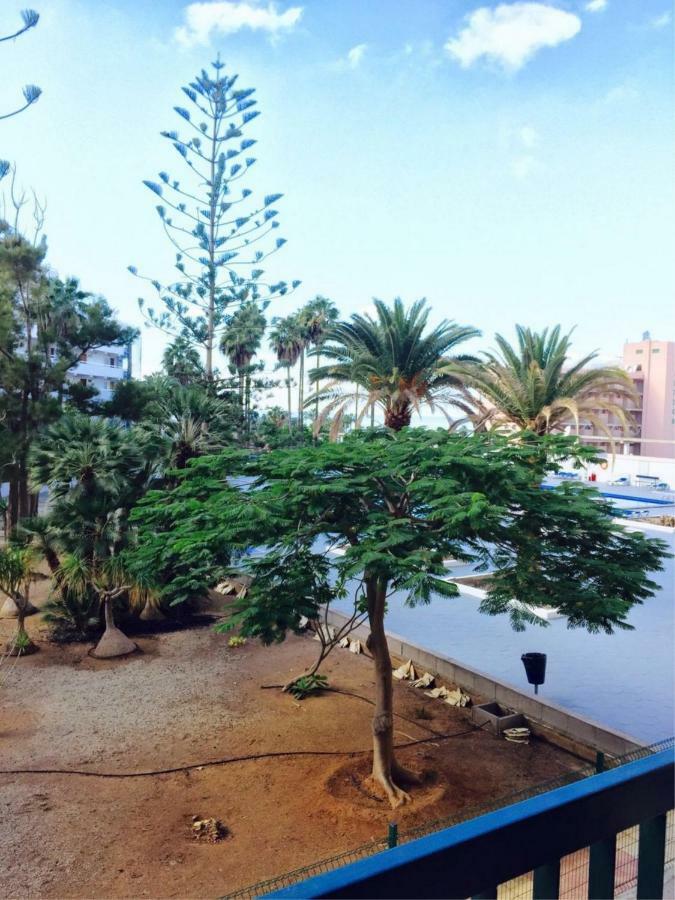 Enjoy The Sea And Pool In Playa De Las Americas Exteriér fotografie